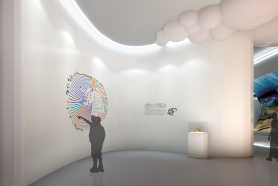 自然博物館生命進(jìn)化展廳設(shè)計